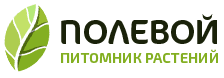 Polevoy